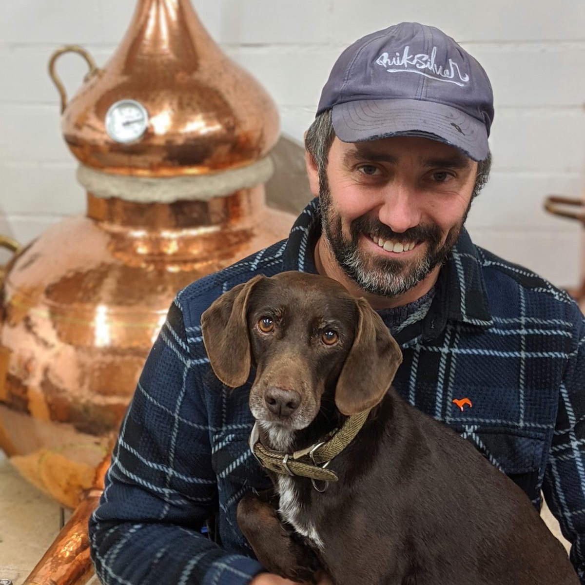 Little Brown Dog, artisan whisky, gin, rum and more