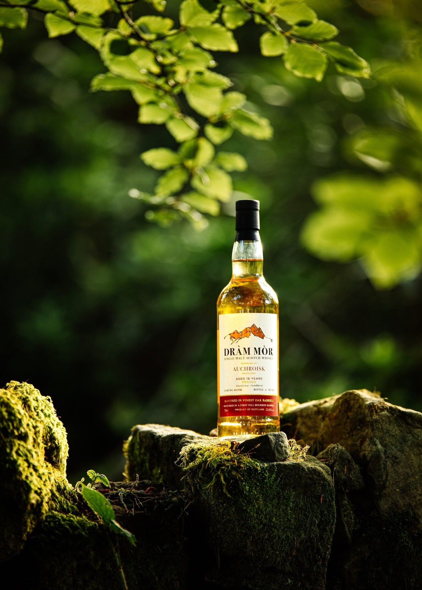 Dràm Mòr Auchroisk 16 Year Old