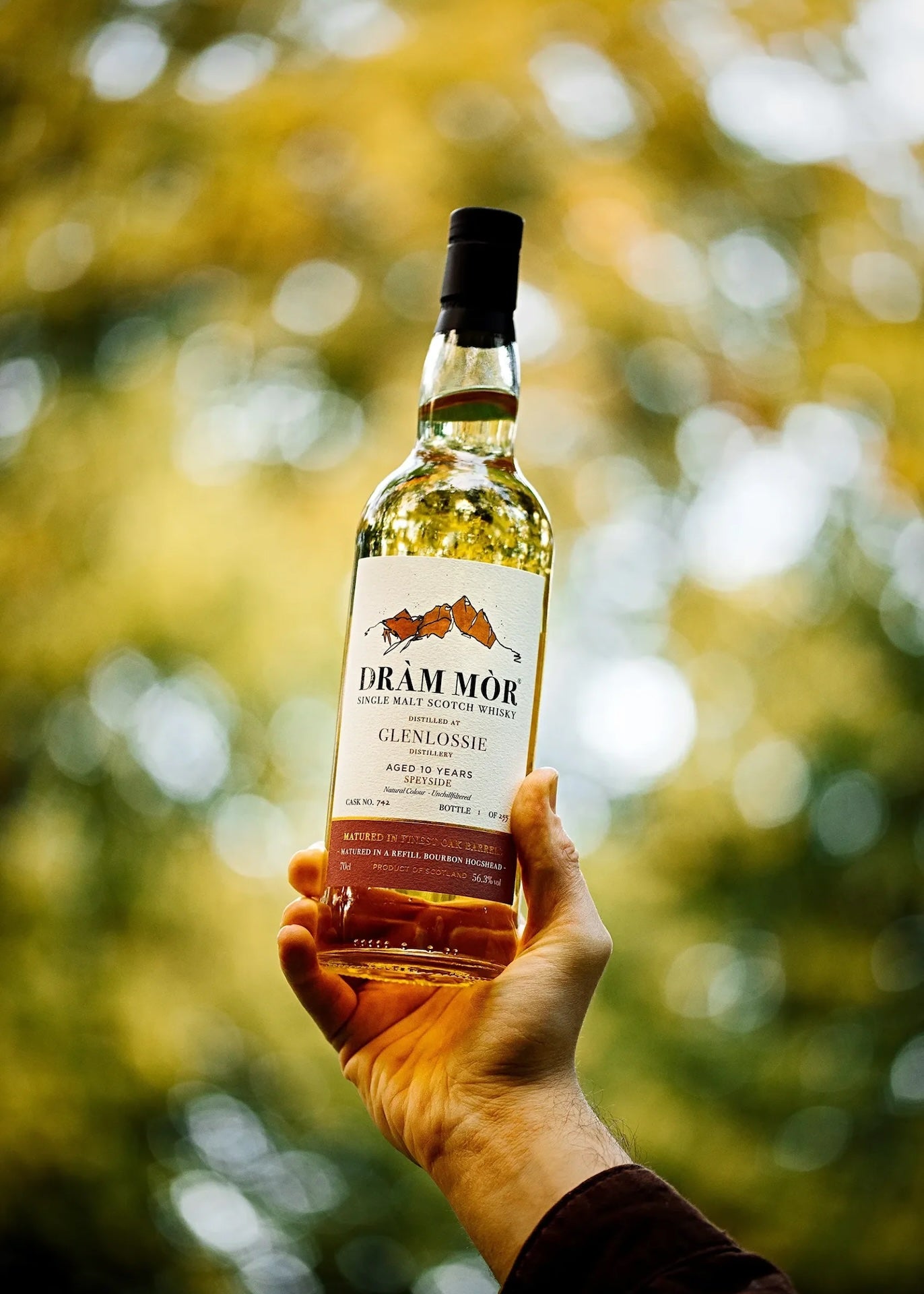 Dràm Mòr Glenlossie 10 Year Old