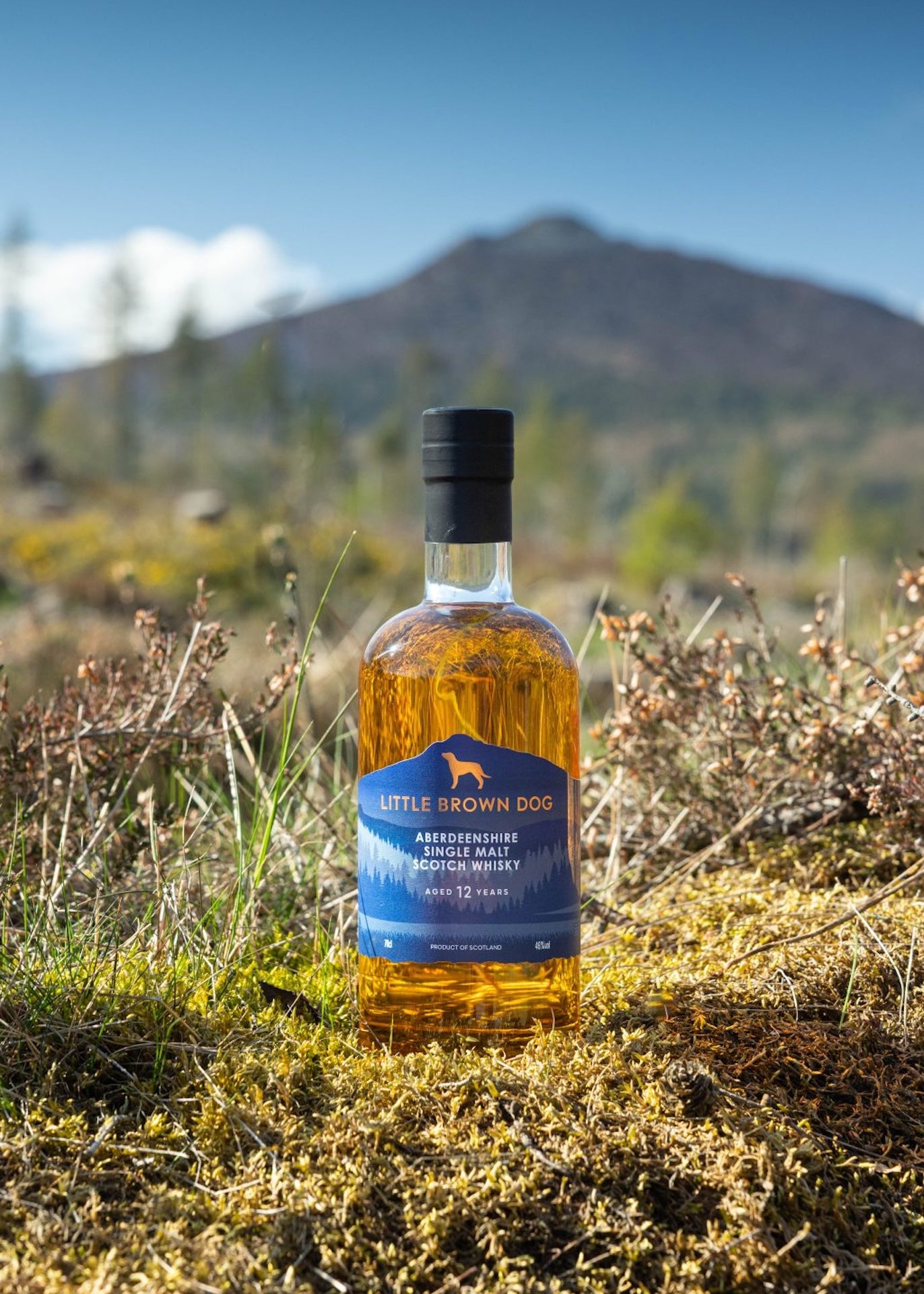 Little Brown Dog Aberdeenshire Single Malt