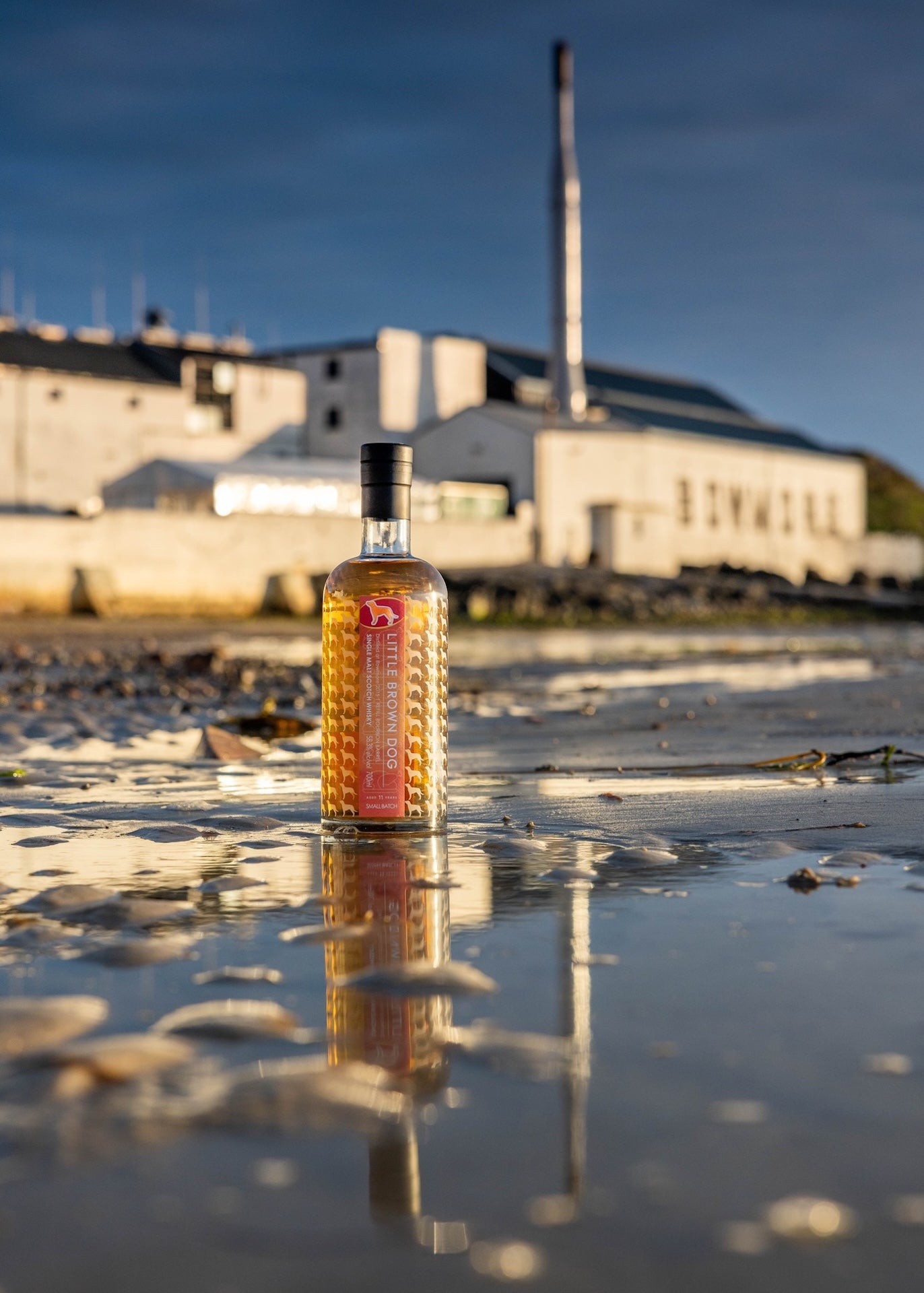 Little Brown Dog Bowmore 11 Year Old