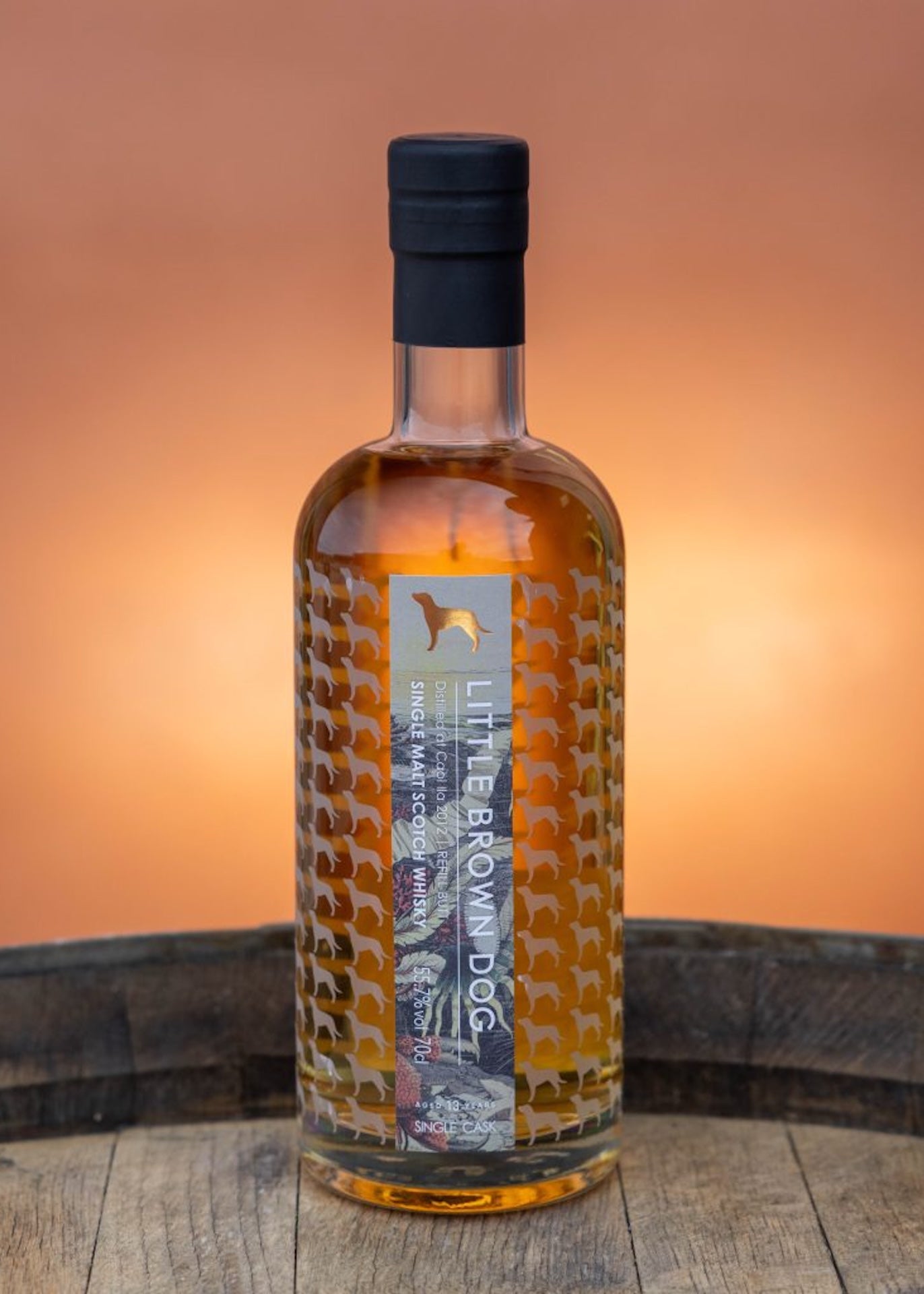 Little Brown Dog Caol Ila 13 Year Old