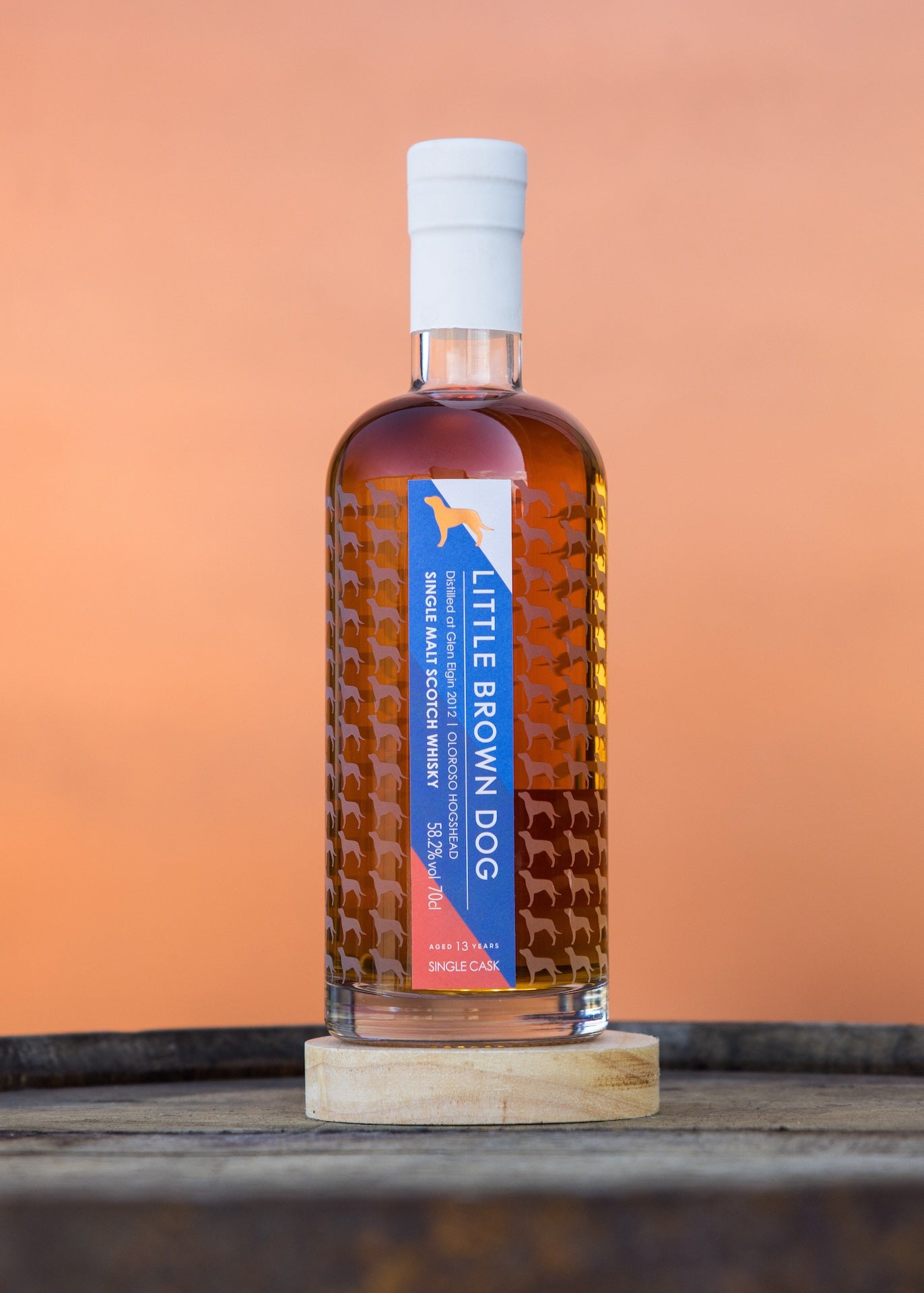 Little Brown Dog Glen Elgin 13 Year Old