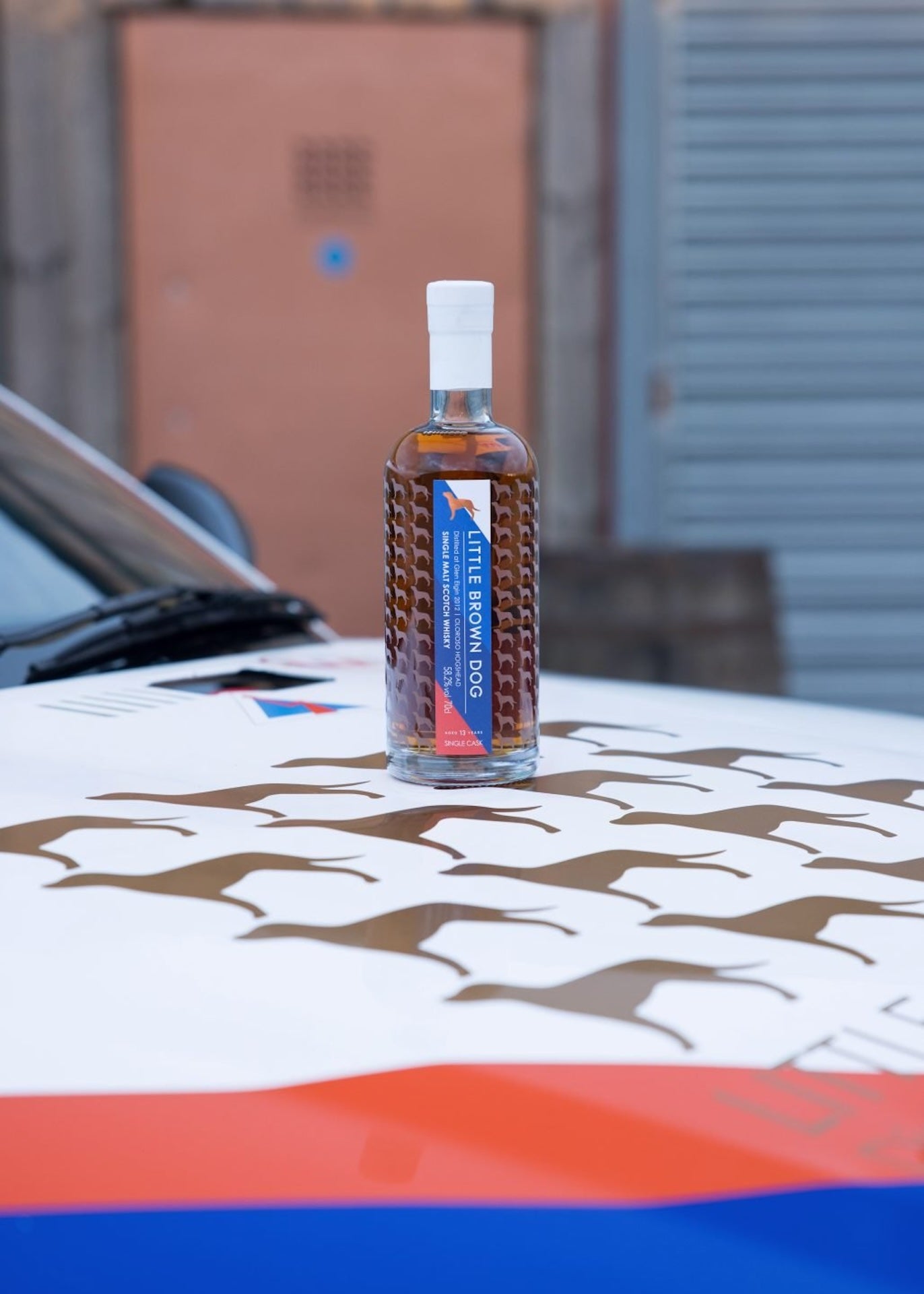 Little Brown Dog Glen Elgin 13 Year Old