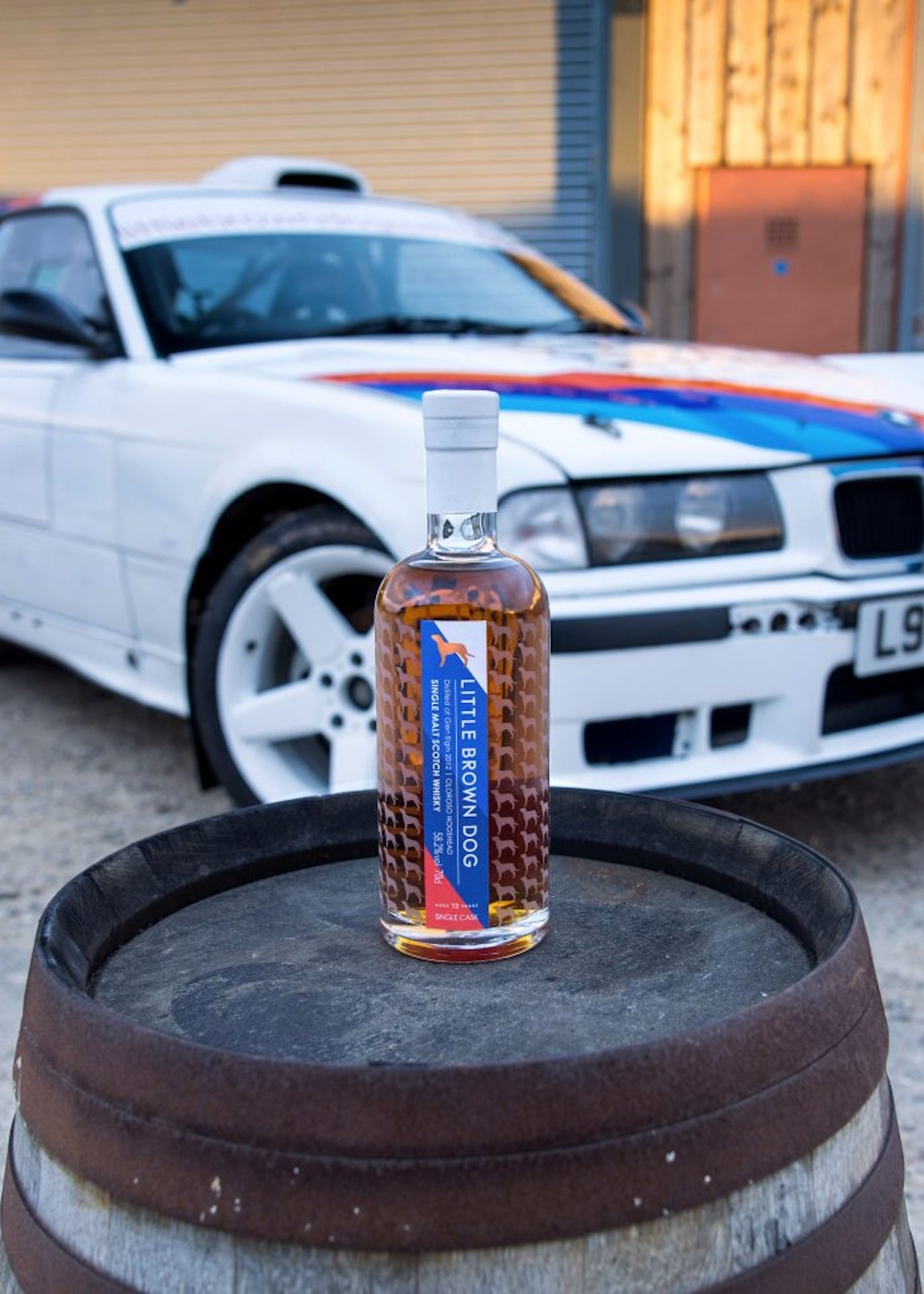 Little Brown Dog Glen Elgin 13 Year Old