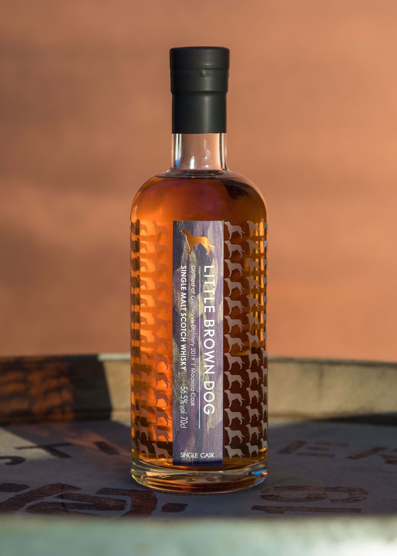 Little Brown Dog Glenwyvis 2019