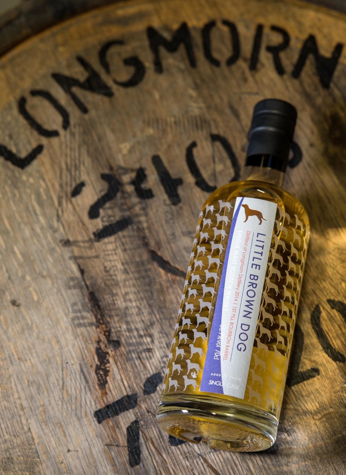 Little Brown Dog Longmorn 11 Year Old