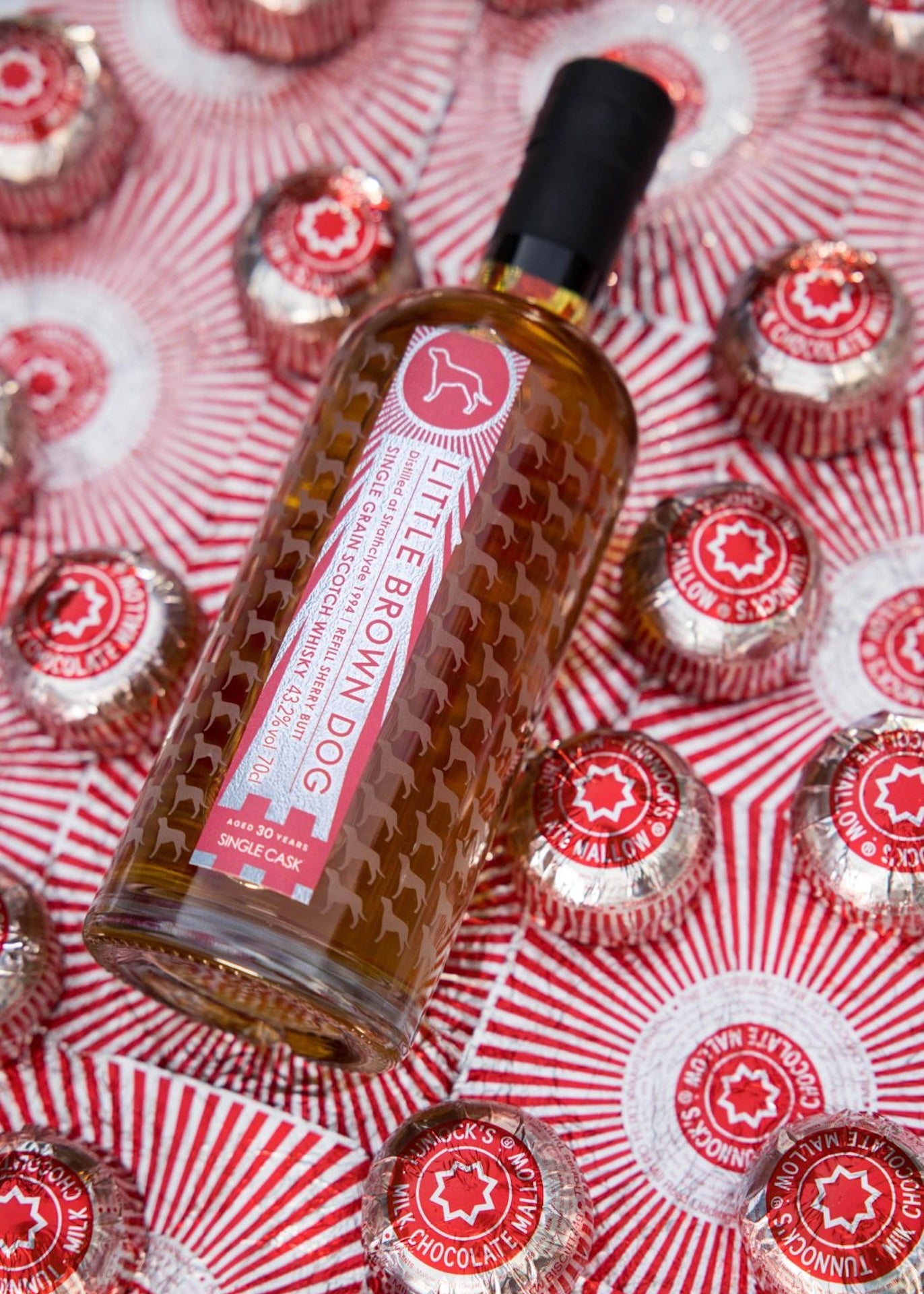 Little Brown Dog Strathclyde 30 Year Old