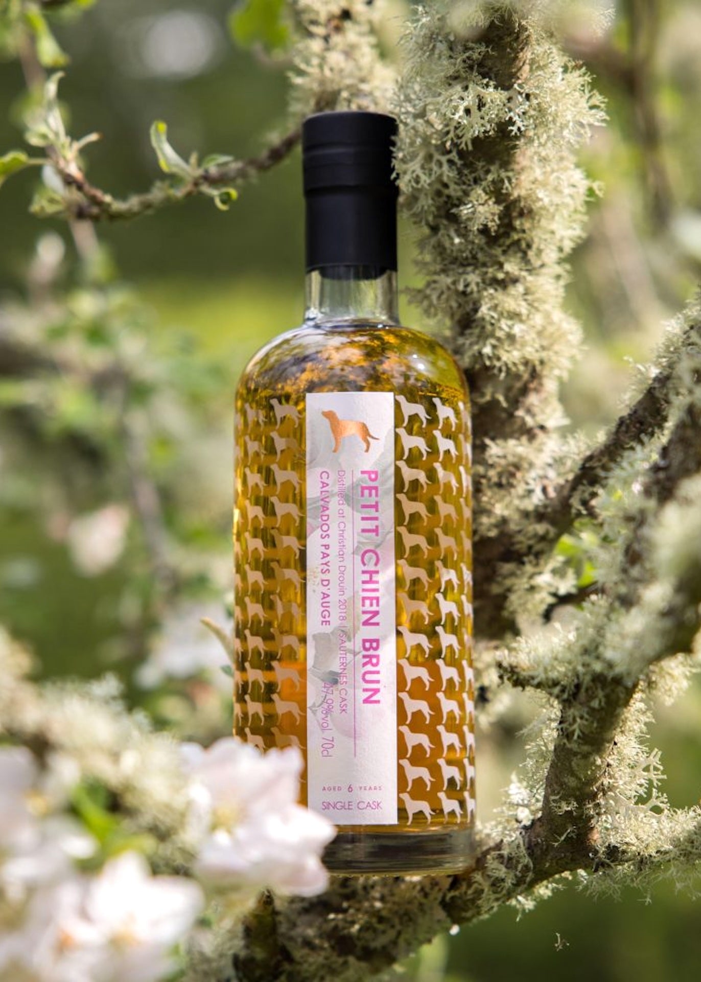 Petit Chien Brun Christian Drouin 6 Year Old Sauternes Barrique