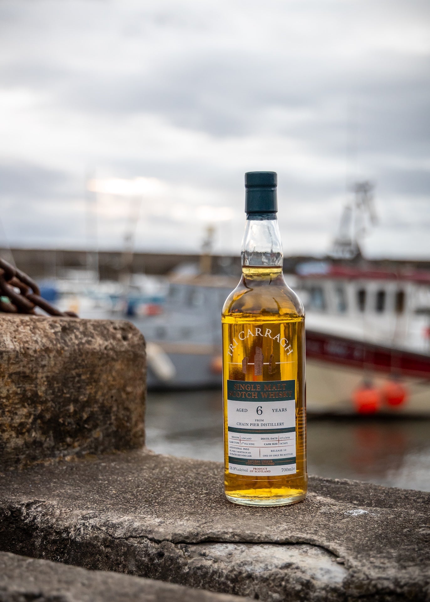 Tri Carragh Chain Pier 6 Year Old