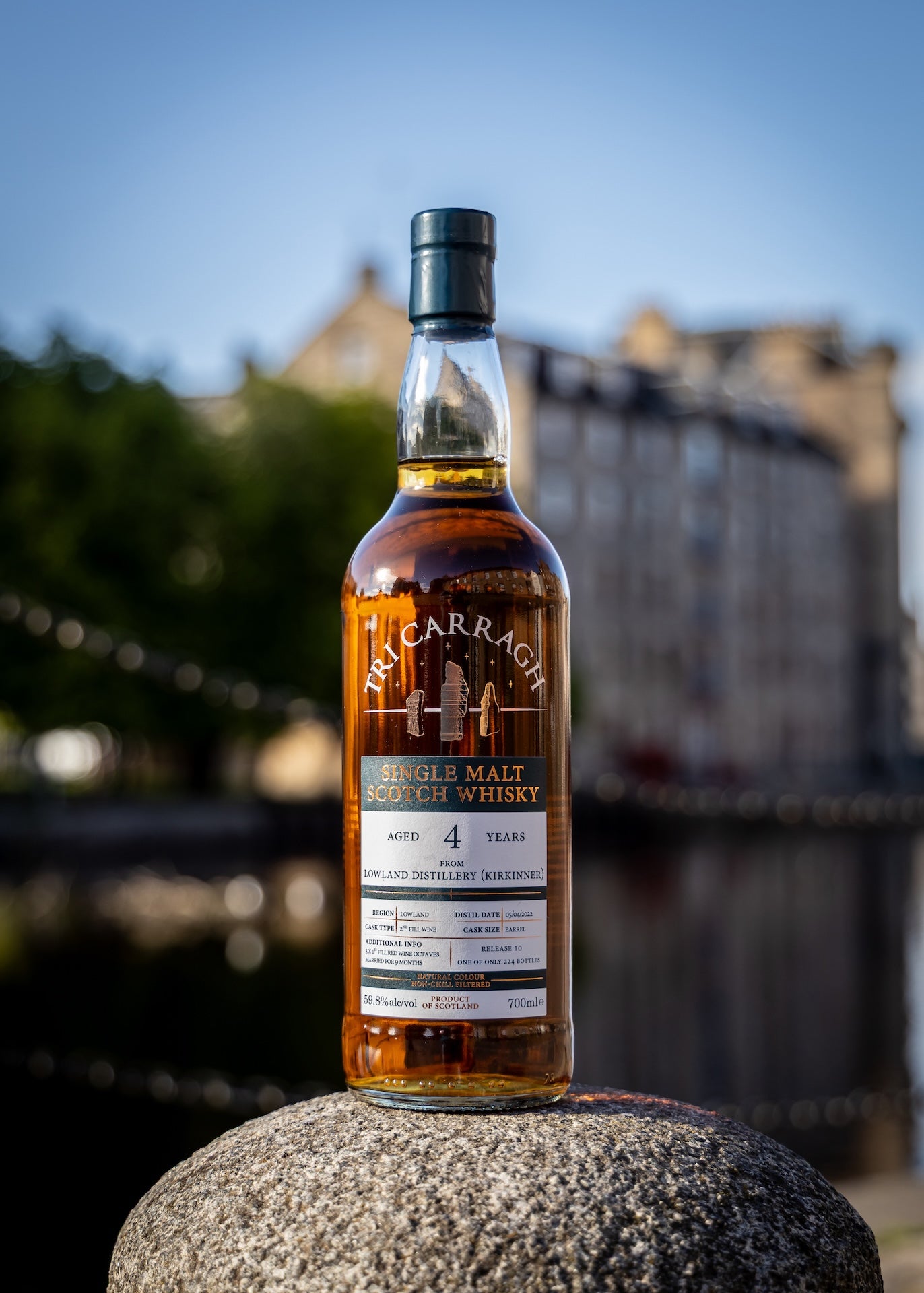 Tri Carragh Kirkinner 4 Year Old
