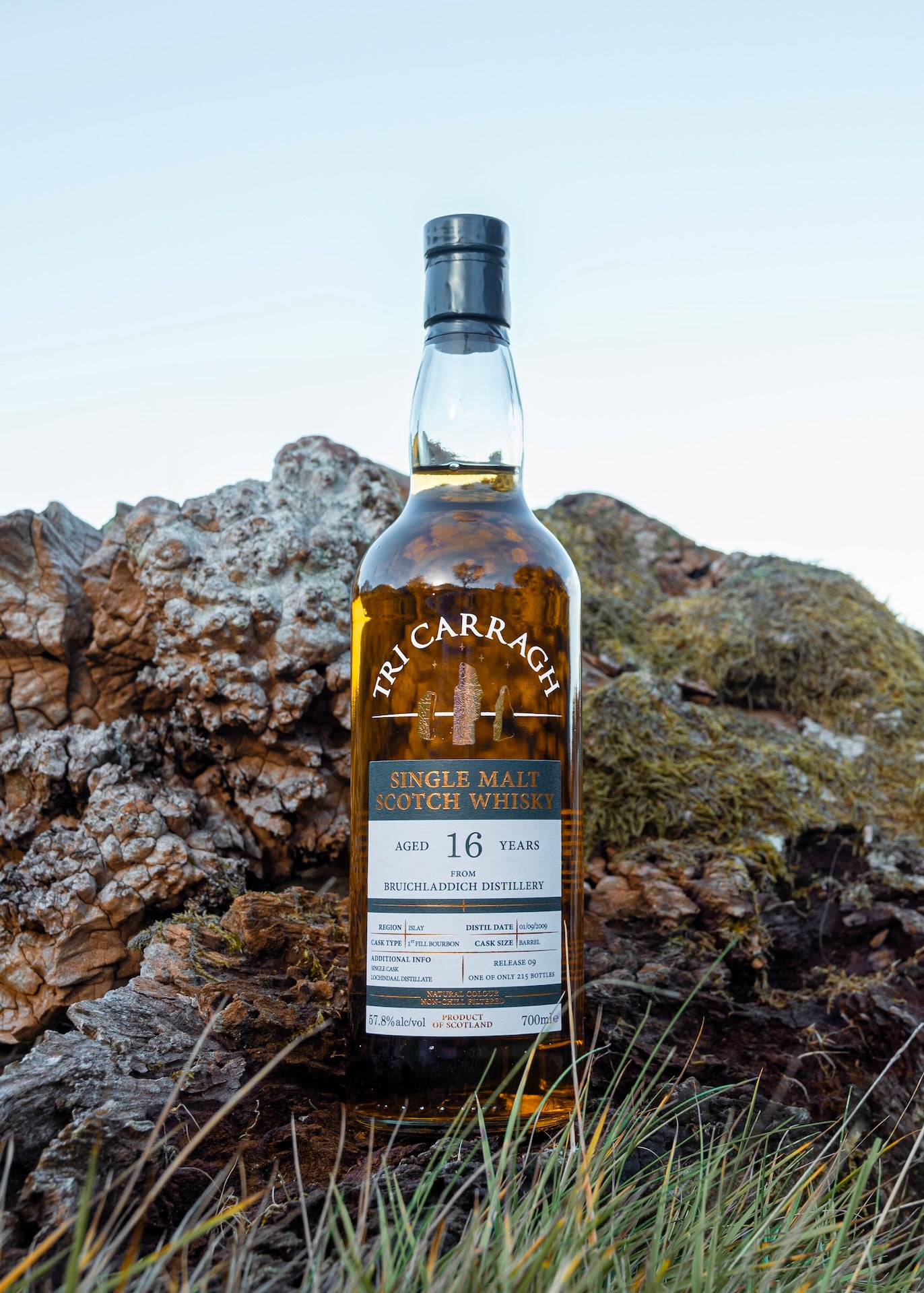 Tri Carragh Lochindaal 16 Year Old