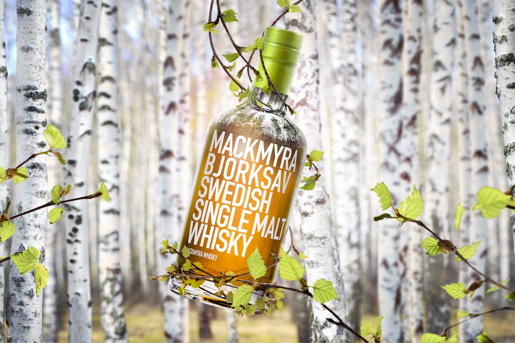 Mackmyra Bjorksav Swedish Single Malt Whisky Birch Sap Wine Cask