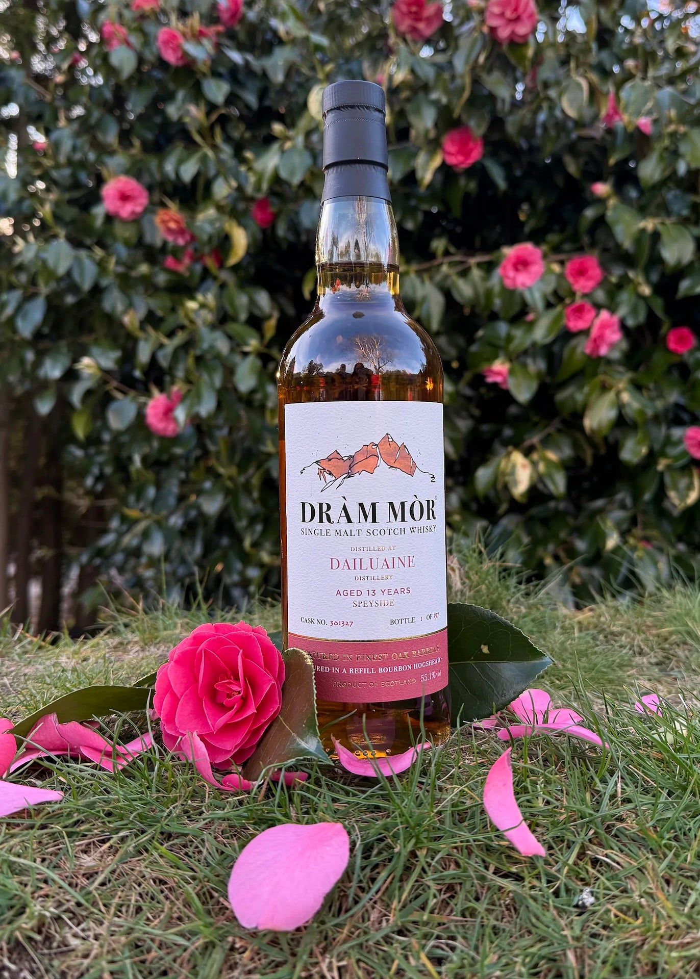 Dràm Mòr Dailuaine 13 Year Old