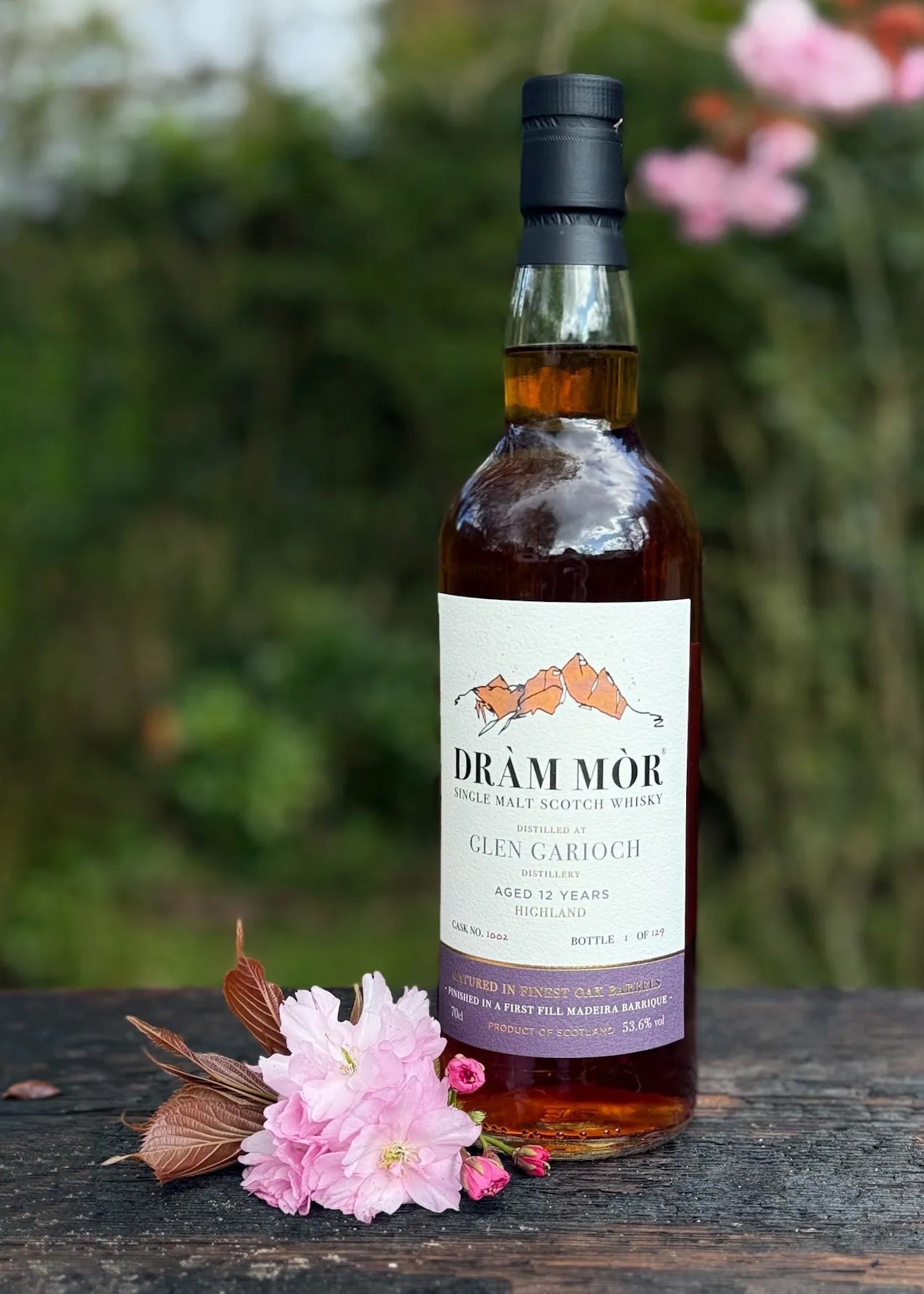 Dràm Mòr Glen Garioch 12 Year Old