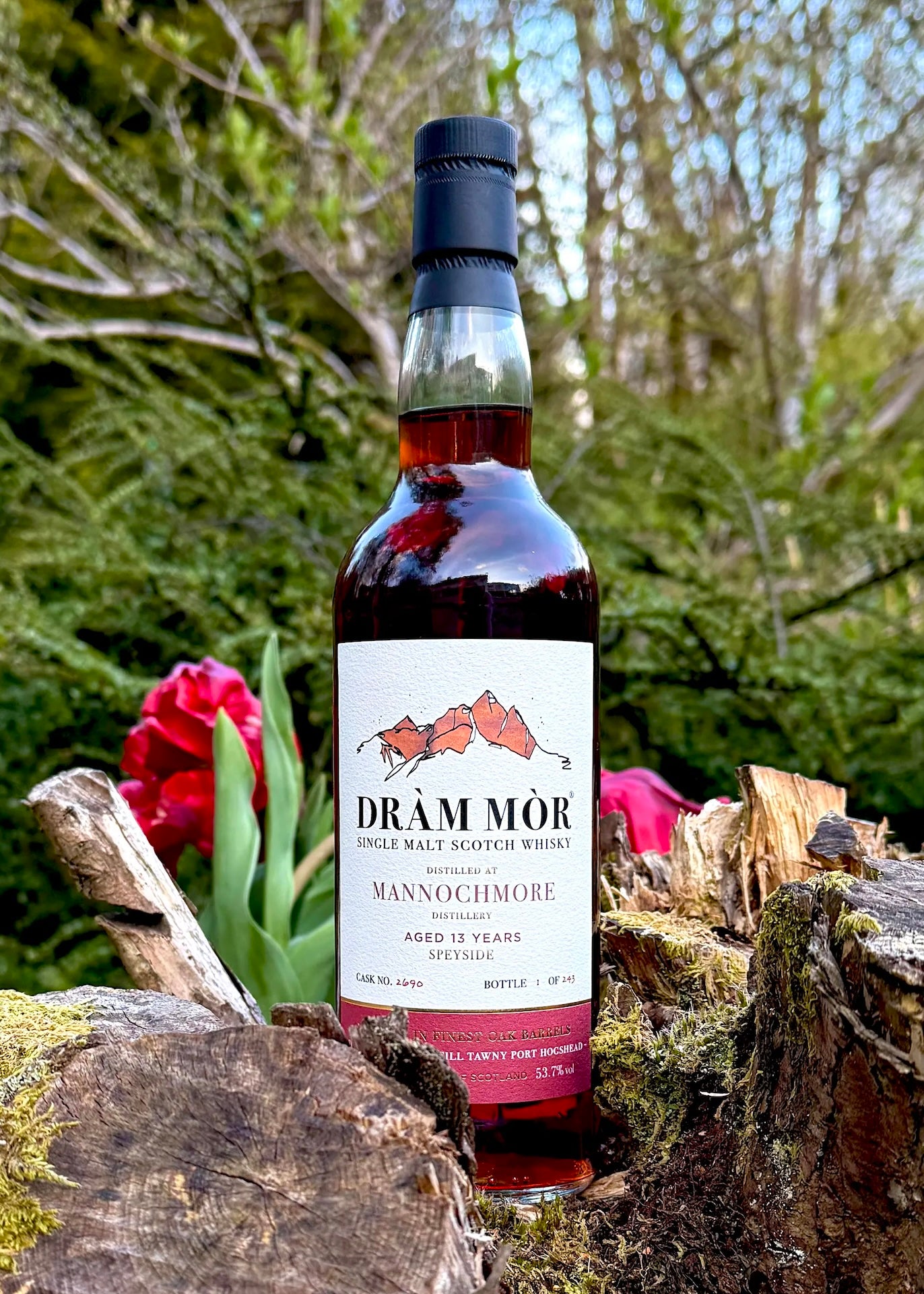 Dràm Mòr Mannochmore 13 Year Old