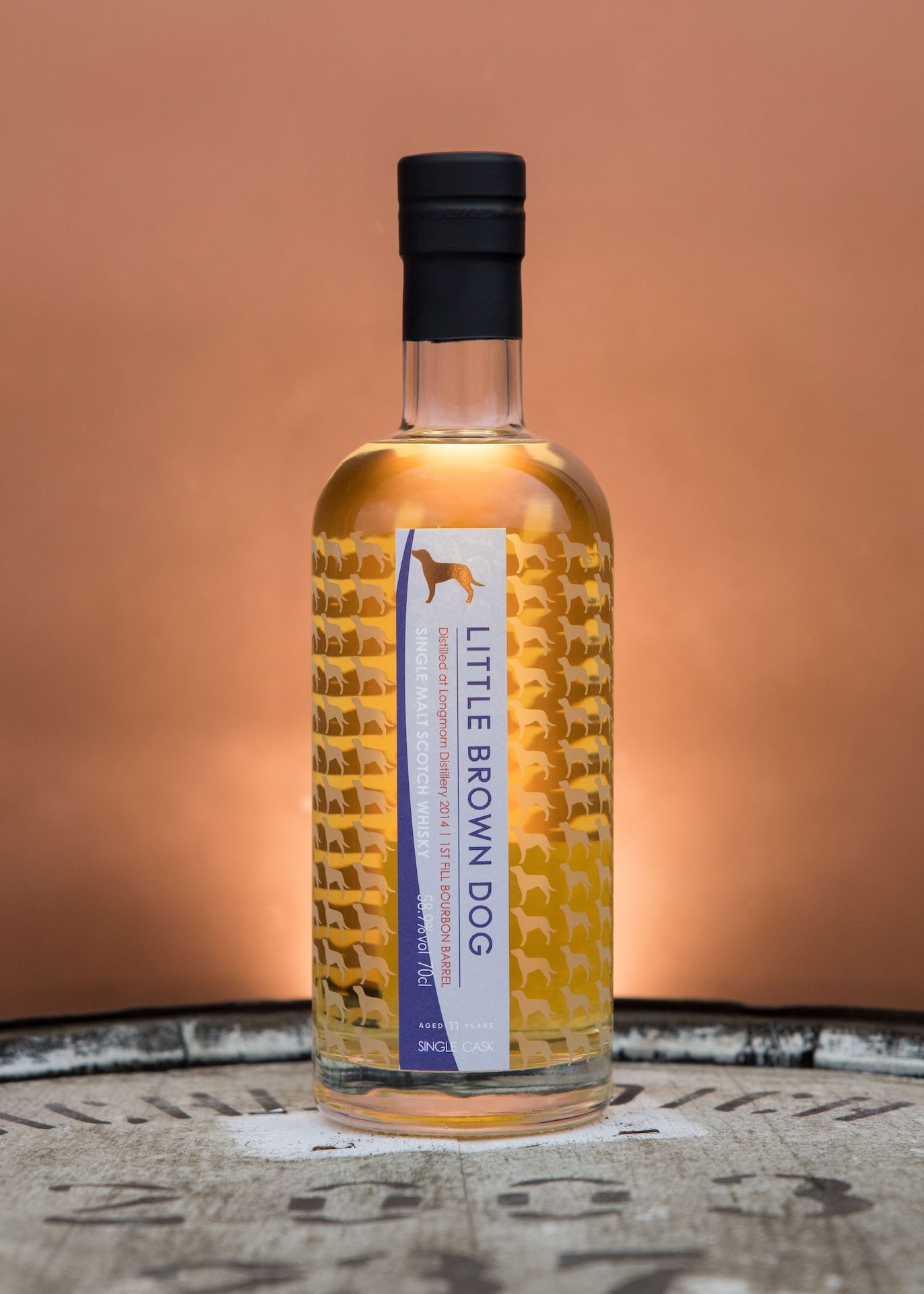 Little Brown Dog Longmorn 11 Year Old