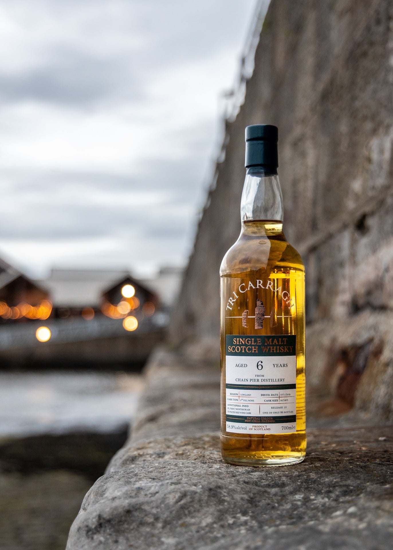 Tri Carragh Chain Pier 6 Year Old