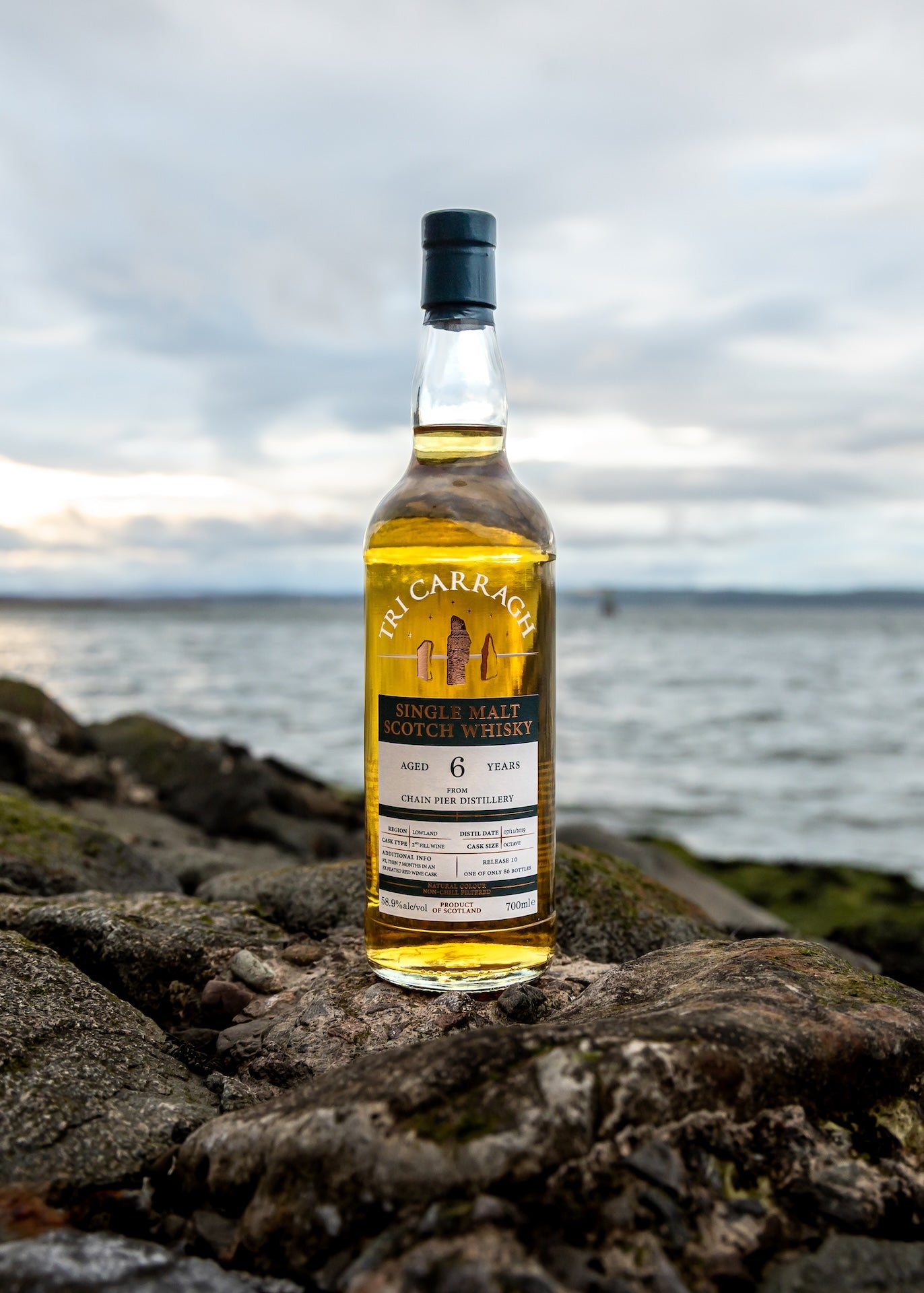 Tri Carragh Chain Pier 6 Year Old