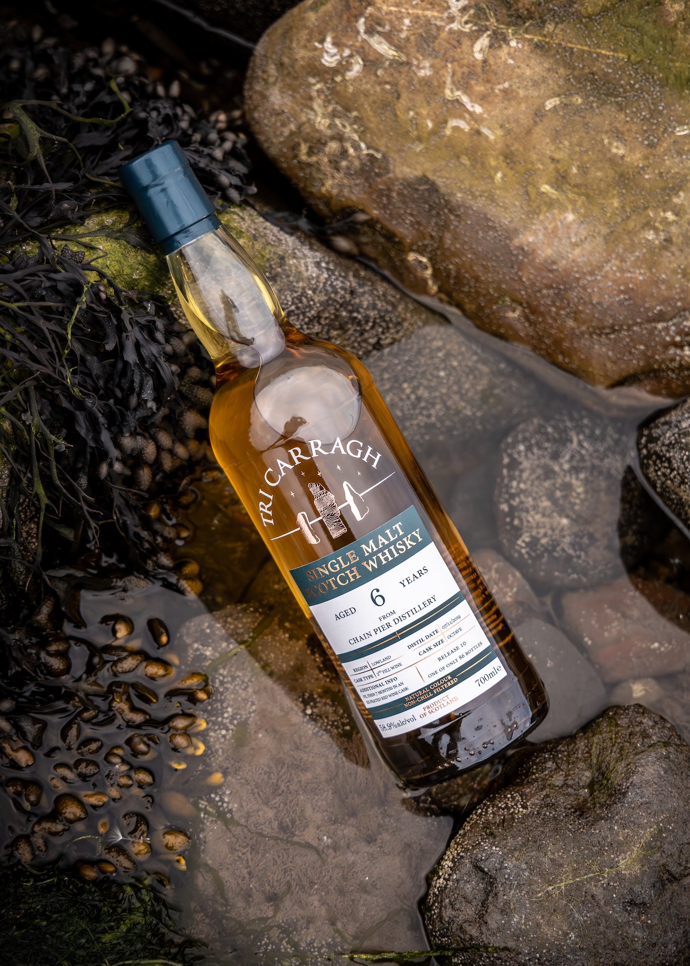 Tri Carragh Chain Pier 6 Year Old