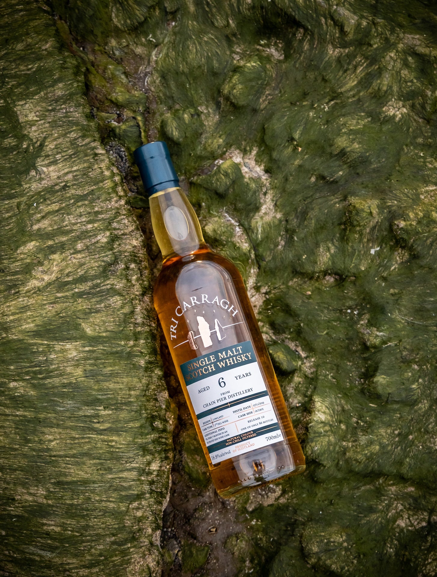 Tri Carragh Chain Pier 6 Year Old