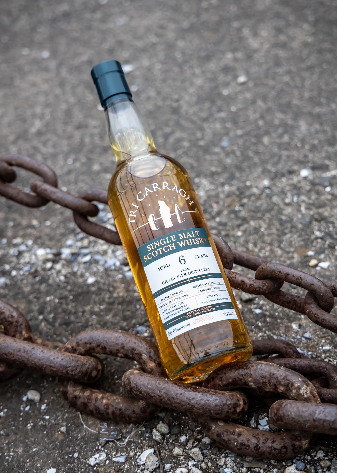 Tri Carragh Chain Pier 6 Year Old
